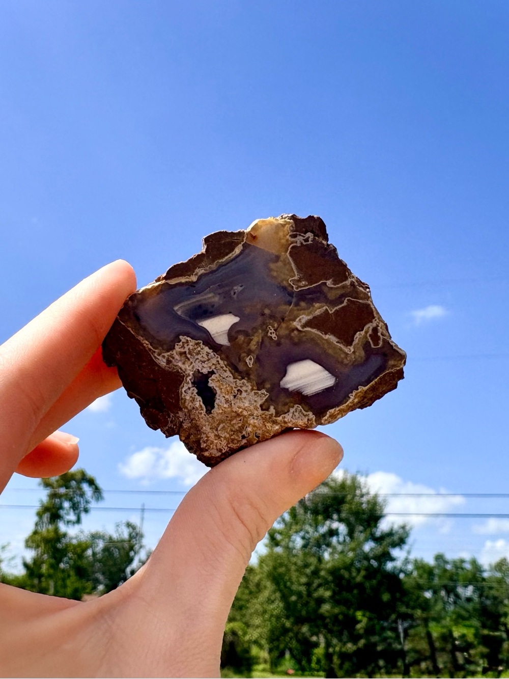 Polished Agate Slice — Brown and Cream Geode Specimen